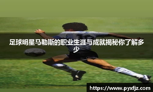 足球明星马勒斯的职业生涯与成就揭秘你了解多少